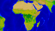 Africa Vegetation 1920x1080